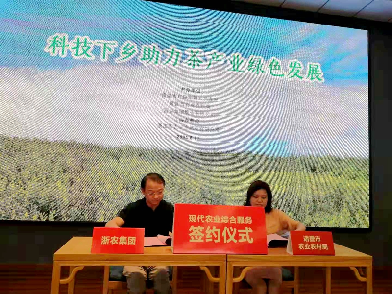 浙農助力諸暨市茶葉特色產(chǎn)業(yè)綠色發(fā)展