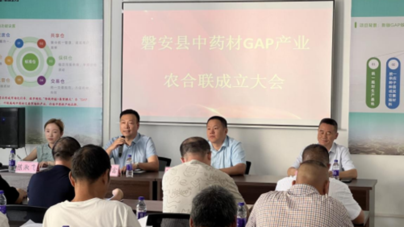 磐安中藥材GAP產(chǎn)業(yè)農(nóng)合聯(lián)成立 助推產(chǎn)業(yè)高質(zhì)量發(fā)展