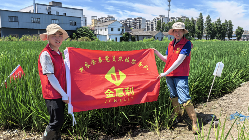 浙農(nóng)金泰：黨員田間服務(wù)站助力農(nóng)業(yè)穩(wěn)產(chǎn)增產(chǎn)