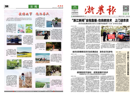浙農(nóng)報2020第4期（一、四版）