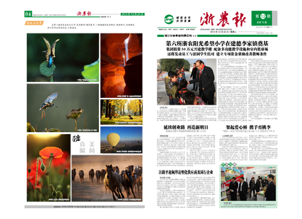 浙農(nóng)報2013年第12期（一、四版）